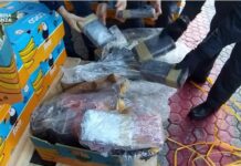 Narco-traffico e fisco: maxi sequestro da quasi 18 milioni di euro in Calabria