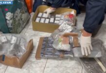 Cosenza, vasta operazione della Polizia contro spaccio e criminalità: 12 arresti, sequestri di droga, armi ed esplosivi