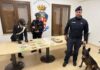 Beccato con cocaina, marijuana e 10mila euro in contanti. Scatta l’arresto