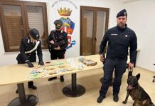 Beccato con cocaina, marijuana e 10mila euro in contanti. Scatta l’arresto