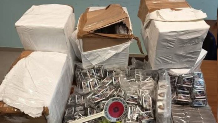 InCollage_20251205_082538138