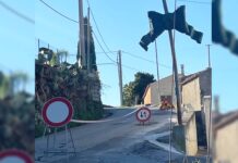 Diamante, Cauteruccio: «1000 euro per Contrade in festa ma manca lo spirito natalizio»