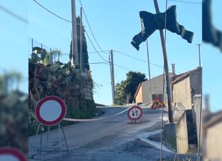 Diamante, Cauteruccio: «1000 euro per Contrade in festa ma manca lo spirito natalizio»