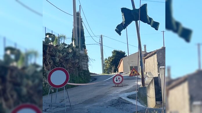 InCollage_20251207_131523587