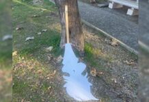 Fuscaldo, vandalizzato il parco giochi della marina