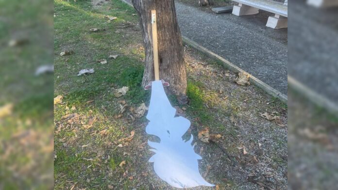 InCollage_20251215_144250380