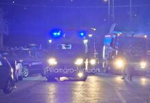 Cetraro, la fedeltà oltre la tragedia, è morta la cagnolina che aveva vegliato la padrona nel rogo