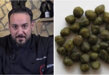 San Lucido ‘Celebra’ il Capperino locale. Arriva lo Chef Tappatumi per l’evento EPTL