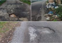 Cetraro, Forza Italia chiede interventi urgenti sulla viabilità verso l’Ospedale: «Basta rinvii e silenzi»