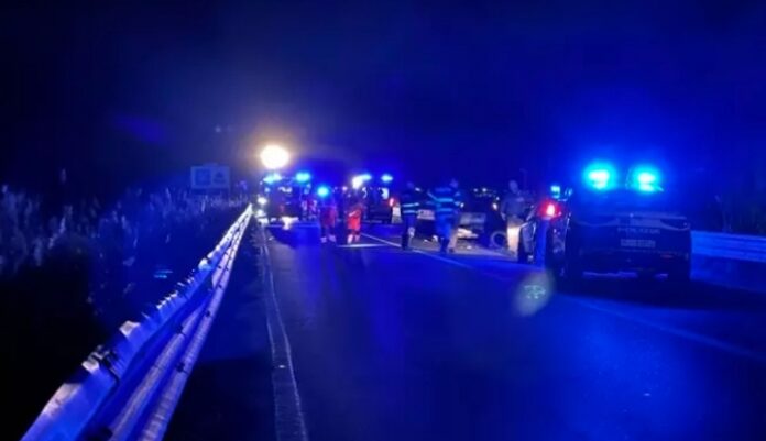 InCollage_20260127_185802573