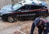 Sequestrati 15 quintali di legna tagliata da un bosco demaniale a due persone della provincia di Cosenza