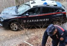 Sequestrati 15 quintali di legna tagliata da un bosco demaniale a due persone della provincia di Cosenza