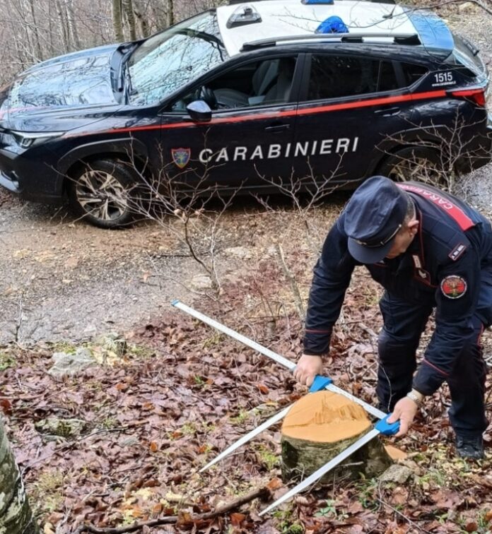 Screenshot_20260131_090520_Facebook