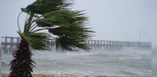 Tirreno Cosentino. Scuole chiuse anche a Cetraro e Paola, aperte a Diamante e Scalea
