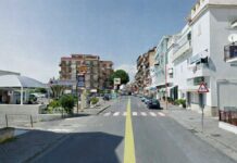 Ambiente, il gruppo “Futura” interroga l’Amministrazione: “Serve un Piano Arboreo per Belvedere Marittimo”