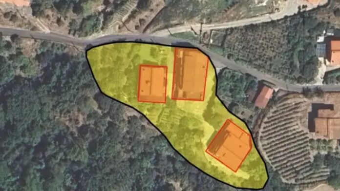 InCollage_20260216_152106359