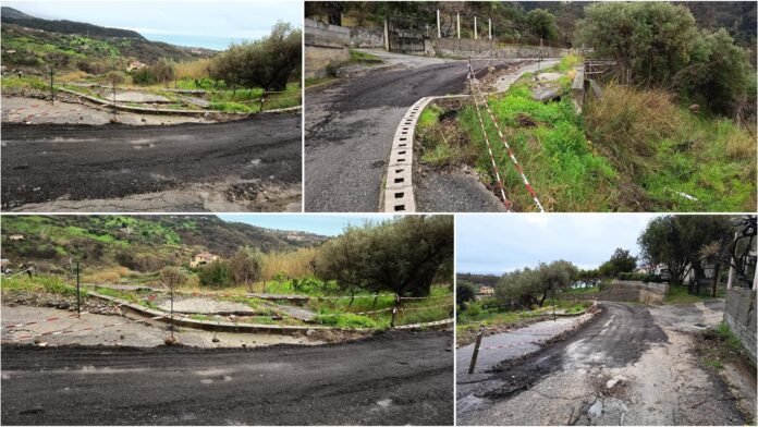 InCollage_20260217_084014545