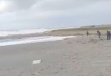 Paola, il mare restituisce un cadavere, è il terzo sul Tirreno Cosentino