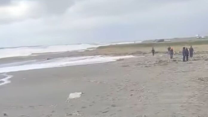 InCollage_20260217_121748774