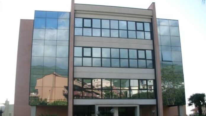 InCollage_20260226_195754709