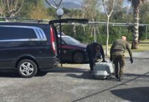 Il Mistero del Macabro ritrovamento sull’arenile di Scalea