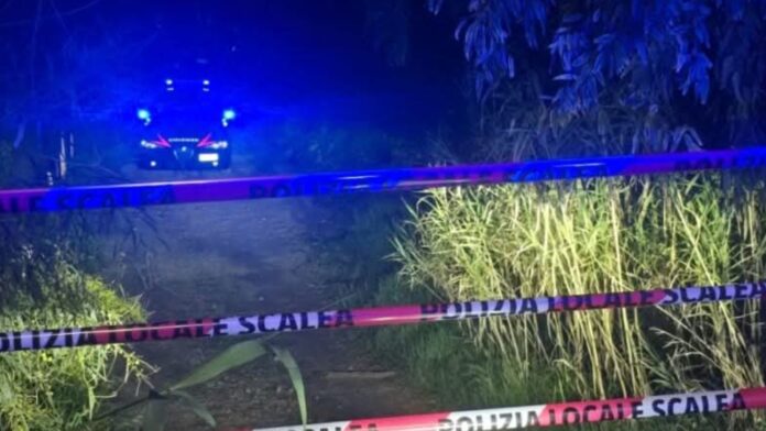 InCollage_20260308_115254889