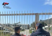 Tirreno Cosentino, gestione illecita di rifiuti e abusivismo edilizio. Sigilli ad una azienda