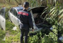 Tirreno Cosentino: Scaricava sul terreno rifiuti speciali, denunciato il responsabile