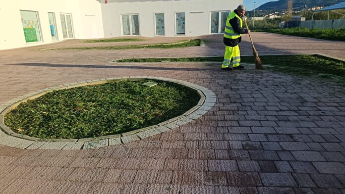 InCollage_20260415_200651548