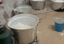 Blitz antidroga e raffineria di cocaina in Calabria: smantellato cartello internazionale con base a Roma