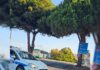 Belvedere Marittimo, al via i lavori di manutenzione straordinaria dei marciapiedi e restyling del verde urbano al Bivio Mario Greco