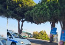 Belvedere Marittimo, al via i lavori di manutenzione straordinaria dei marciapiedi e restyling del verde urbano al Bivio Mario Greco