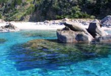Sangineto tra i 9 comuni calabresi beneficiari del programma «spiagge sicure 2026»