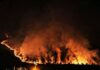 Vasto incendio a Praia a Mare, solidarietà dai sindaci Cascini e Ordine