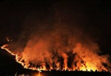 Vasto incendio a Praia a Mare, solidarietà dai sindaci Cascini e Ordine