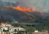 Vasto incendio tra Belvedere Marittimo e Diamante, la condanna delle istituzioni e il ringraziamento ai soccorritori: «vi siamo grati»