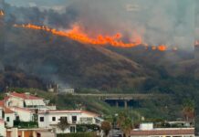 Vasto incendio tra Belvedere Marittimo e Diamante, la condanna delle istituzioni e il ringraziamento ai soccorritori: «vi siamo grati»
