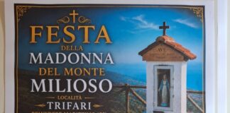 Fede e tradizione a Belvedere Marittimo: il 20 Agosto al via la Festa della Madonna del Monte Milioso a Trifari