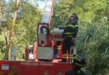 Perde il controllo del parapendio e resta incastrato su un albero: paura sul Tirreno Cosentino