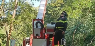 Perde il controllo del parapendio e resta incastrato su un albero: paura sul Tirreno Cosentino