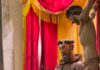 Belvedere Marittimo celebra l’Ottavo Centenario dalla morte di San Francesco D’Assisi