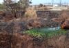 Scalea, quel liquido verde in un’area recintata: Italia Nostra chiede chiarezza