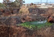 Scalea, quel liquido verde in un’area recintata: Italia Nostra chiede chiarezza