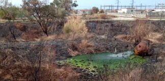 Scalea, quel liquido verde in un’area recintata: Italia Nostra chiede chiarezza